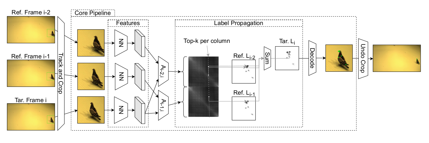 Joint Tracking and Label Propagation Pipeline